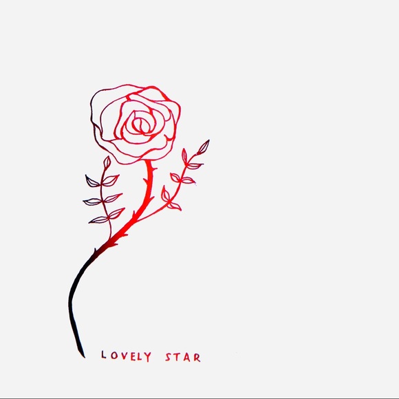 ✨ 𝕃𝕠𝕧𝕖𝕝𝕪 𝕊𝕥𝕒𝕣 ✨ - Picture 2 of 13